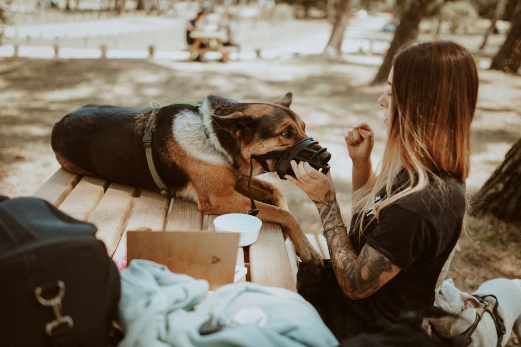 Photo d'une éducatrice canine entrainant un chien aux soins médicaux afin de le rendre plus serein à l'avenir