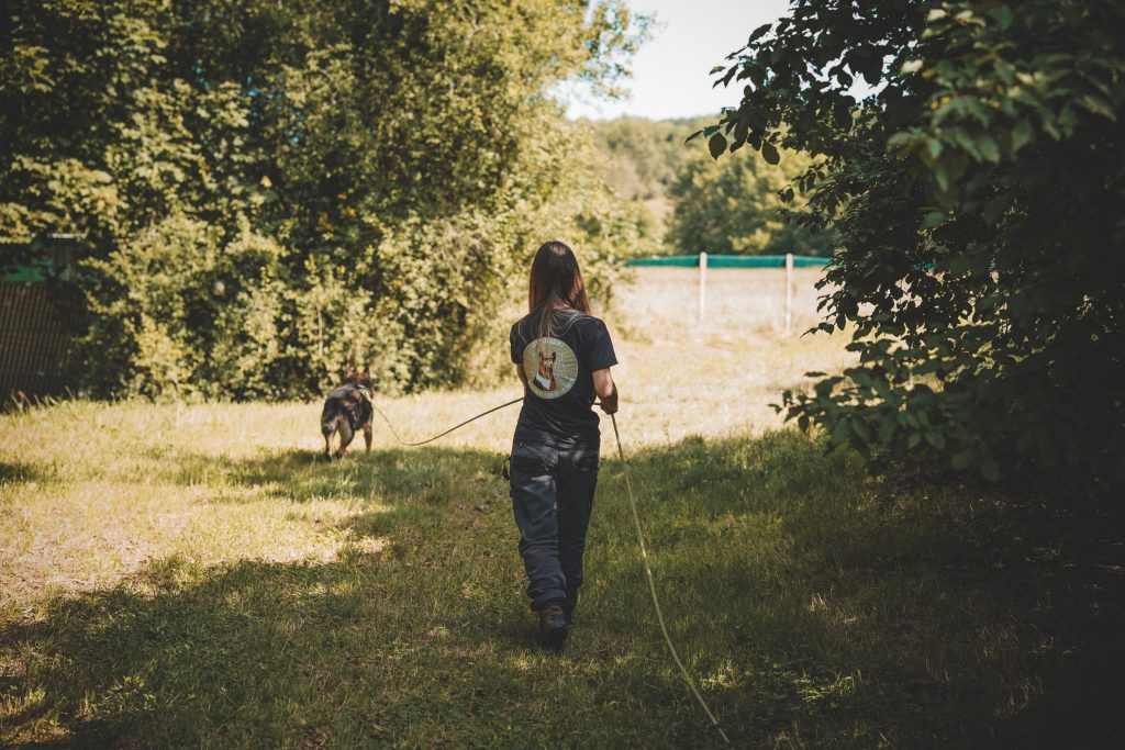 Une éducatrice canine balade un chien en longe