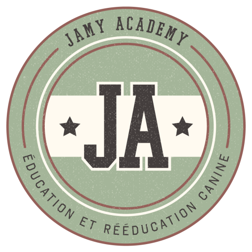 Jamy Academy